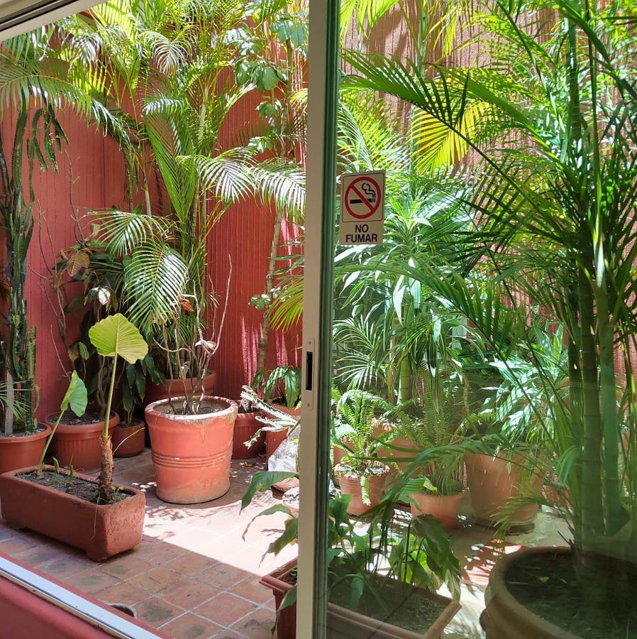 Hotel Posada El Cid Oaxaca Zewnętrze zdjęcie